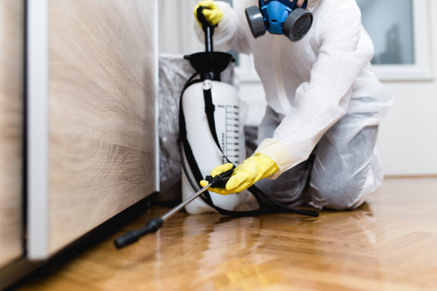 Best Wasp Removal Services  in Olympia, WA