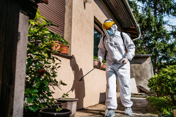 Professional Pest Control in Olympia, WA