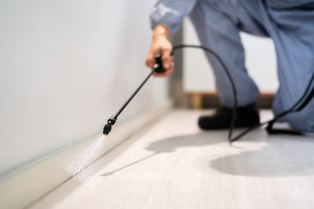 Best Best Pest Control Companies  in Olympia, WA