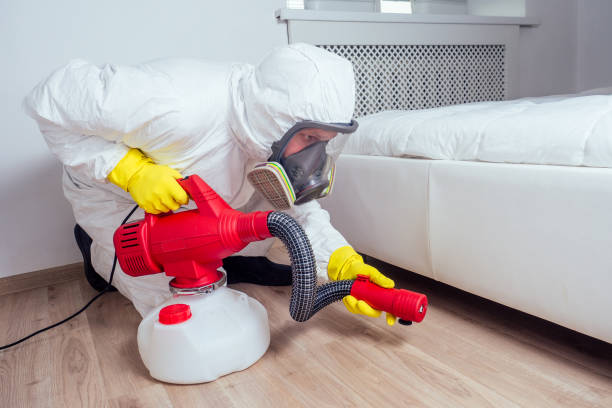 Best Flea Control Services  in Olympia, WA