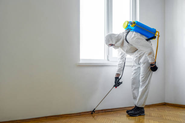 Best Termite Control Services  in Olympia, WA