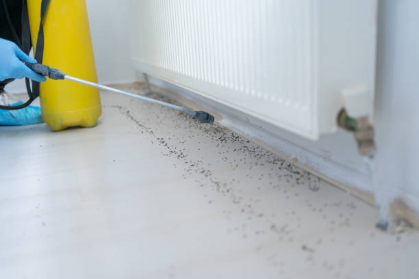 Best Cockroach Control Services  in Olympia, WA