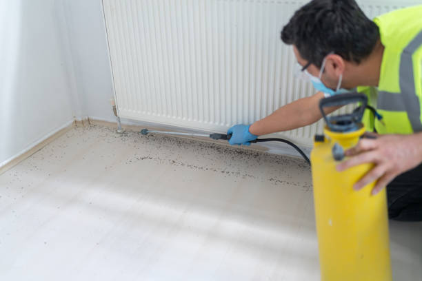 Best Mosquito Control Services  in Olympia, WA